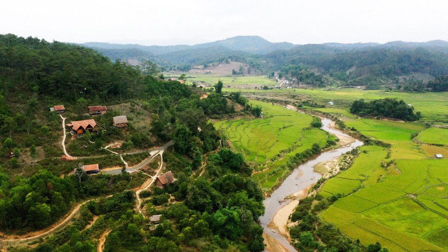 Hiện nay, thôn Kon Vơng Kia có 11 homestay, trong đó, có 5 homestay của người dân trong thôn làm chủ. Thôn còn có 13 hộ dân cung cấp dịch vụ ẩm thực, trải nghiệm văn hóa, nhạc cụ dân tộc, nghề truyền thống cho du khách.