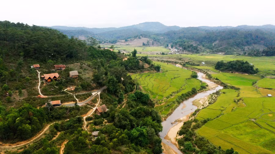 Hiện nay, thôn Kon Vơng Kia có 11 homestay, trong đó, có 5 homestay của người dân trong thôn làm chủ. Thôn còn có 13 hộ dân cung cấp dịch vụ ẩm thực, trải nghiệm văn hóa, nhạc cụ dân tộc, nghề truyền thống cho du khách.