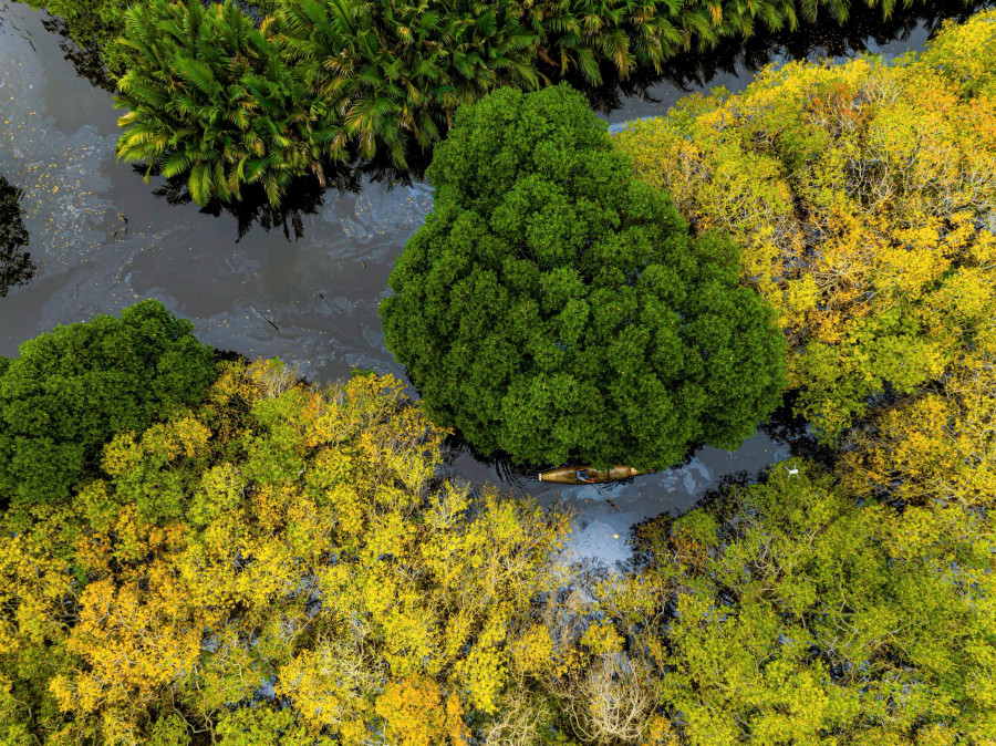 Ngoài đi bộ dạo bước trên con đường bê tông, du khách có thể thuê một chiếc thuyền nhỏ của ngư dân, len lỏi vào các ngóc ngách của cánh rừng ngập mặn, khám phá hệ sinh thái đa dạng, phong phú. ẢNH: ĐÌNH HOÀNG Ngoài đi bộ dạo bước trên con đường bê tông, du khách có thể thuê một chiếc thuyền nhỏ của ngư dân, len lỏi vào các ngóc ngách của cánh rừng ngập mặn, khám phá hệ sinh thái đa dạng, phong phú. ẢNH: ĐÌNH HOÀNG