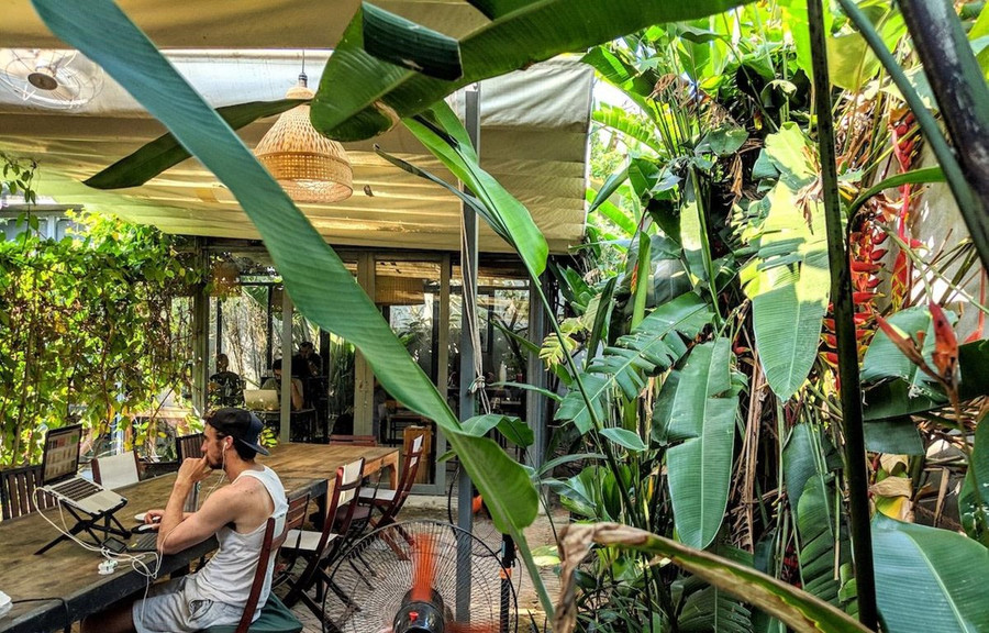 Du khách quốc tế có xu hướng chọn làm việc từ xa ở những quốc gia có mức giá phải chăng đi kèm chất lượng dịch vụ tốt như Việt Nam. (Ảnh: PV/Vietnam+) Du khách quốc tế có xu hướng chọn làm việc từ xa ở những quốc gia có mức giá phải chăng đi kèm chất lượng dịch vụ tốt như Việt Nam. (Ảnh: PV/Vietnam+)