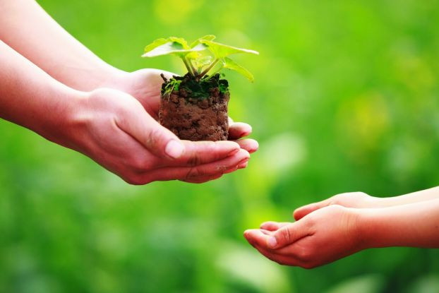 Trao niềm tin, gieo cơ hội (ảnh minh họa) Trao niềm tin, gieo cơ hội (ảnh minh họa)