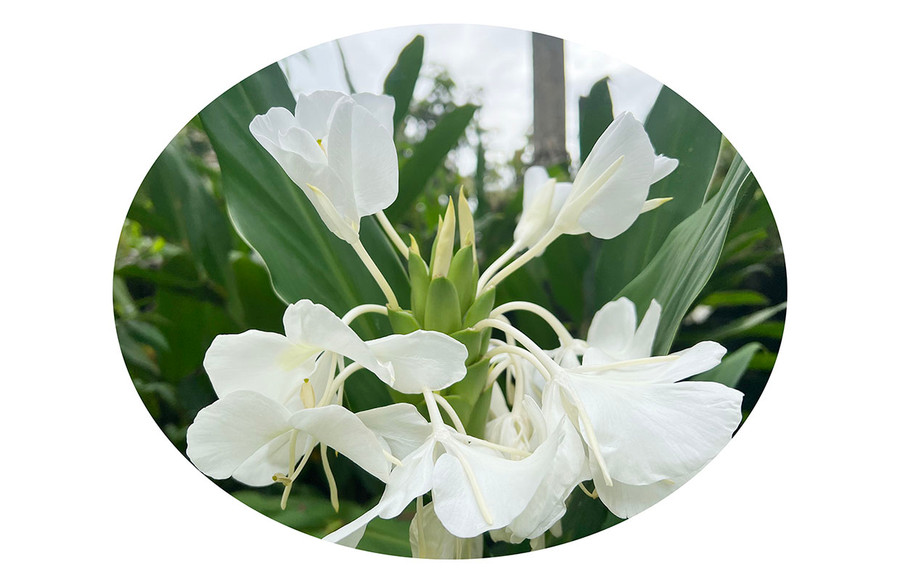 Ảnh minh họa: T.H Ảnh minh họa: T.H