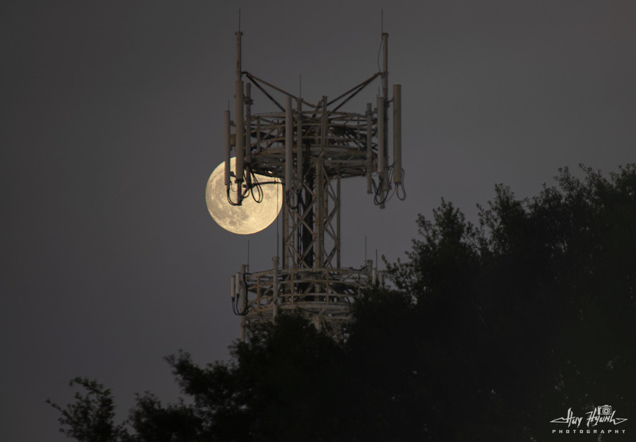 Lần trăng tròn này được những bộ tộc bản địa châu Mỹ gọi là Trăng Dâu, Trăng Hoa hồng (Full Rose Moon) hoặc Trăng Mật ong (Full Honey Moon). Ảnh: HUY HYUNH