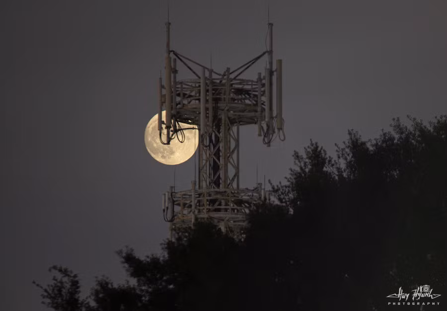 Lần trăng tròn này được những bộ tộc bản địa châu Mỹ gọi là Trăng Dâu, Trăng Hoa hồng (Full Rose Moon) hoặc Trăng Mật ong (Full Honey Moon). Ảnh: HUY HYUNH