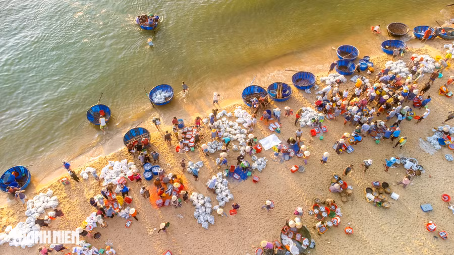Bức tranh rộn ràng sắc màu ở chợ cá Bình Minh. Ảnh: Nguyễn Trình Bức tranh rộn ràng sắc màu ở chợ cá Bình Minh. Ảnh: Nguyễn Trình