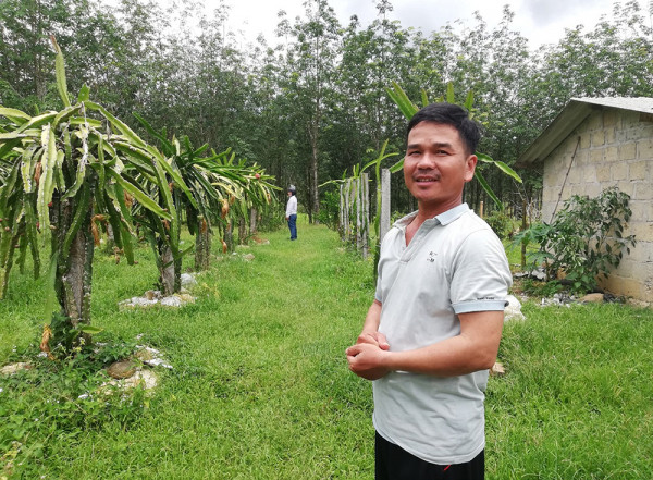 Gia đình anh Trần Văn Dương có kinh tế khá lên nhờ trồng cao su, thanh long và chăn nuôi