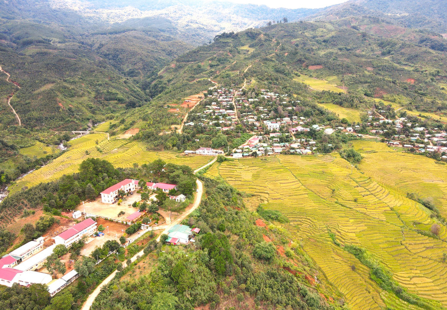 Tháng 10 và tháng 11 hàng năm, cánh đồng lúa gần 200ha của người Xơ Đăng (thuộc xã Măng Ri, huyện Tu Mơ Rông) chín vàng và bước vào thu hoạch. Tháng 10 và tháng 11 hàng năm, cánh đồng lúa gần 200ha của người Xơ Đăng (thuộc xã Măng Ri, huyện Tu Mơ Rông) chín vàng và bước vào thu hoạch.