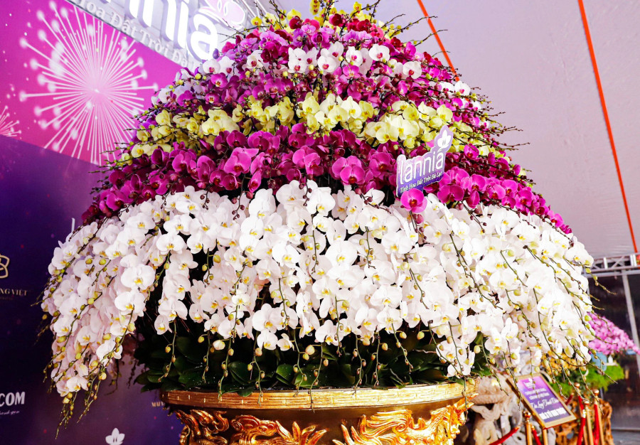 Phần hoa có 9 tầng, mỗi tầng một màu sắc. Ảnh: ĐÌNH HUY Phần hoa có 9 tầng, mỗi tầng một màu sắc. Ảnh: ĐÌNH HUY