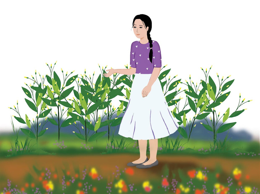 Minh họa: HUYỀN TRANG