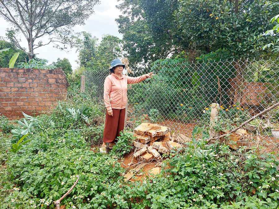 Phần đất tranh chấp giữa gia đình ông Rơ Châm Bễ với ông Nguyễn Bá Khánh. Ảnh: T.D Phần đất tranh chấp giữa gia đình ông Rơ Châm Bễ với ông Nguyễn Bá Khánh. Ảnh: T.D