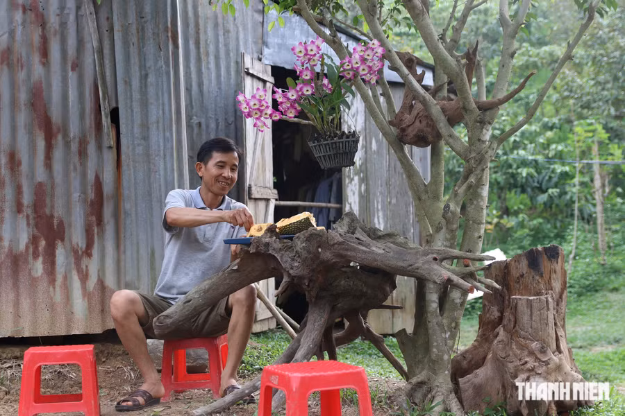Ông Phạm Văn Thi (ngụ xã Quảng Khê, H.Đắk Glong) thưởng thức mít nhà trồng. Ảnh: XUÂN LÂM