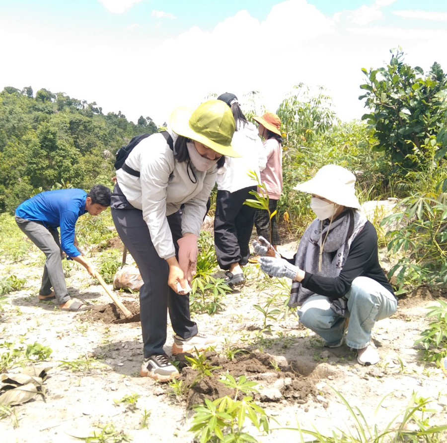 Người dân xã Ia Khươl được hỗ trợ cây giống để trồng rừng (ảnh UBND xã cung cấp).