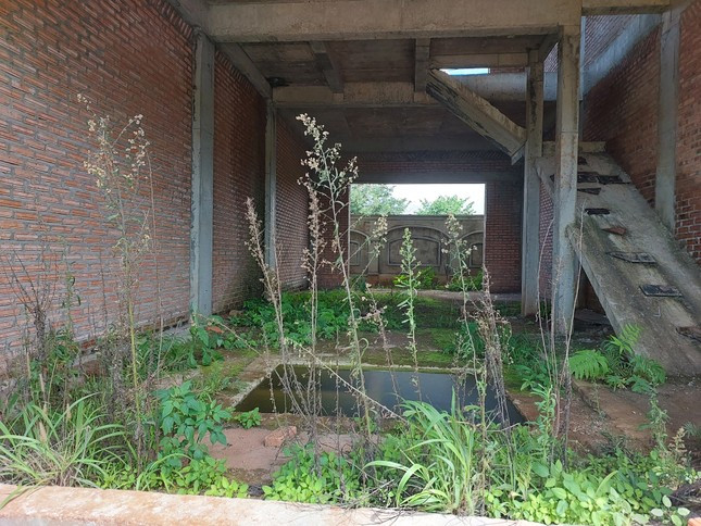 Vào bên trong những căn nhà thô nhìn đầy cỏ dại. Vào bên trong những căn nhà thô nhìn đầy cỏ dại.