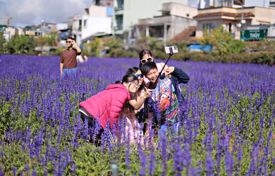 Vườn hoa nữ hoàng xanh tím nổi bật, thu hút hàng trăm lượt người dân, du khách tới ngắm, chụp ảnh giữa buổi sáng trời nắng đẹp.