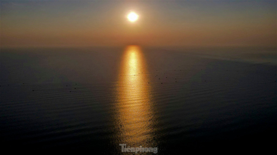 Mặt trời vừa ló rạng, những đoàn thuyền của ngư dân Nghi Xuân miệt mài thu lưới.