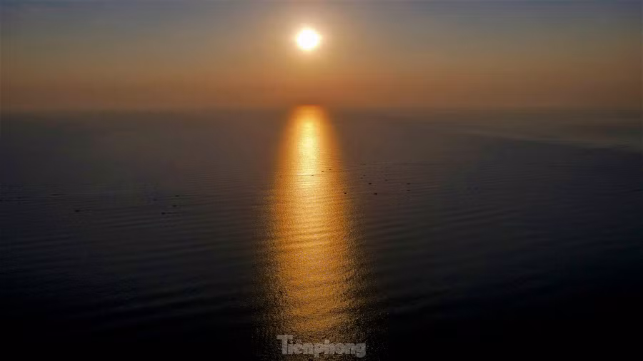 Mặt trời vừa ló rạng, những đoàn thuyền của ngư dân Nghi Xuân miệt mài thu lưới.