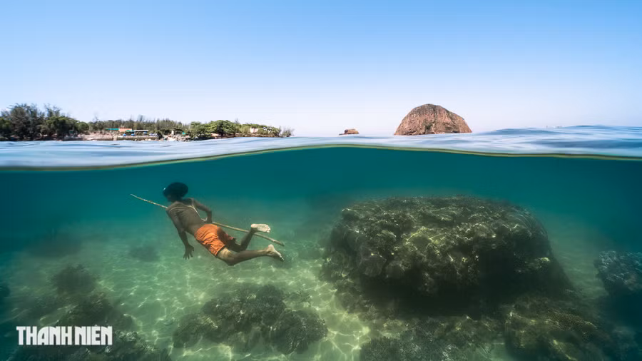 Việt Nam có 3.260 km đường bờ biển trải dài từ Bắc đến Nam, với khoảng trên 1.100 km2 rạn san hô. Đặc biệt, tháng 4 - 8 là mùa lặn biển ngắm san hô đẹp nhất trong năm ở khu vực biển miền Trung. Hòn Yến thuộc thôn Nhơn Hội, xã An Hòa, huyện Tuy An, tỉnh Phú Yên, là đảo đá thuộc quần thể Hòn Yến được công nhận là Di tích danh thắng cấp quốc gia năm 2018, sở hữu những rạn san hô quý hiếm. Ảnh: NGUYỄN NGỌC THIỆN