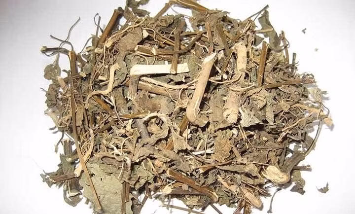 Việc tự ý dùng thuốc nam khi chưa có chỉ định của bác sĩ dẫn đến nhiều hệ lụy khó lường. (Ảnh minh họa)