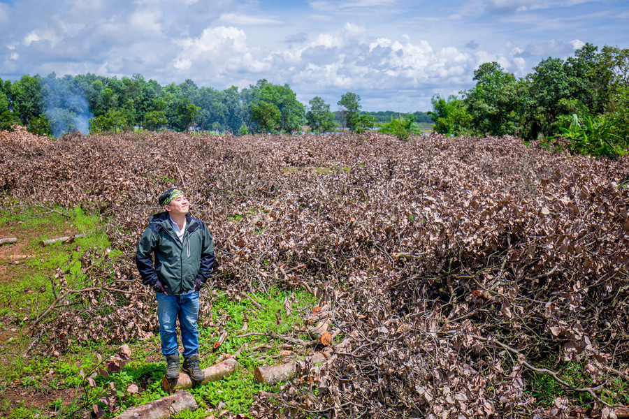 Hòa mình với thiên nhiên. Ảnh: Thanh Tuấn