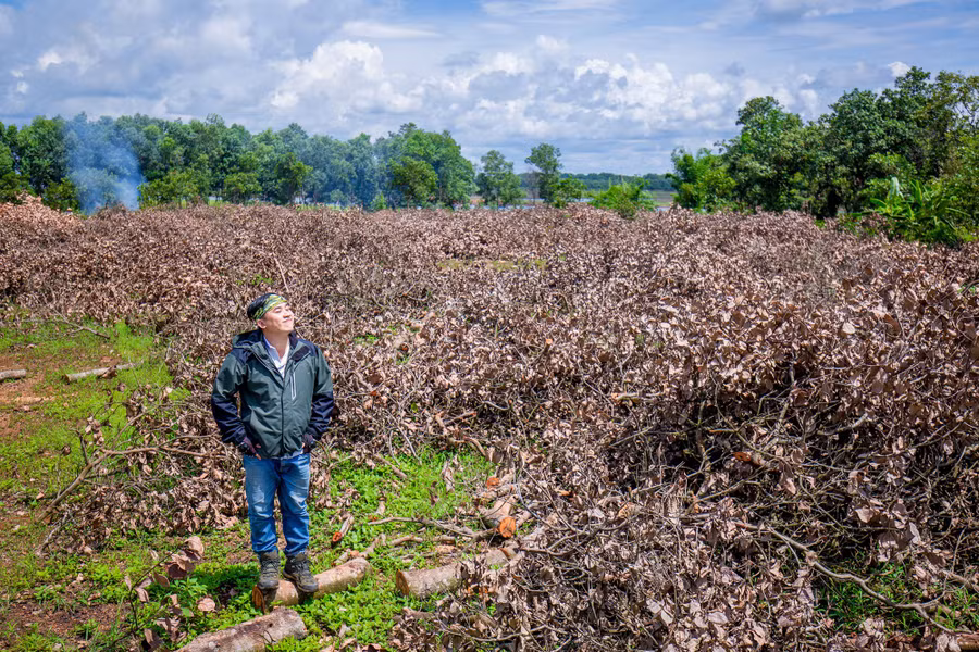 Hòa mình với thiên nhiên. Ảnh: Thanh Tuấn