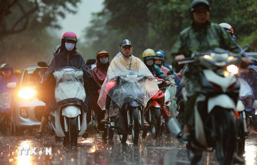 (Ảnh: Thanh Tùng/TTXVN) (Ảnh: Thanh Tùng/TTXVN)