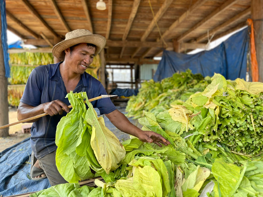 Gia đình anh Nay Linh (buôn Jứ, xã Ia Broăi, huyện Ia Pa) ổn định cuộc sống tại khu tái định cư, yên tâm phát triển sản xuất. Ảnh: Minh Phương