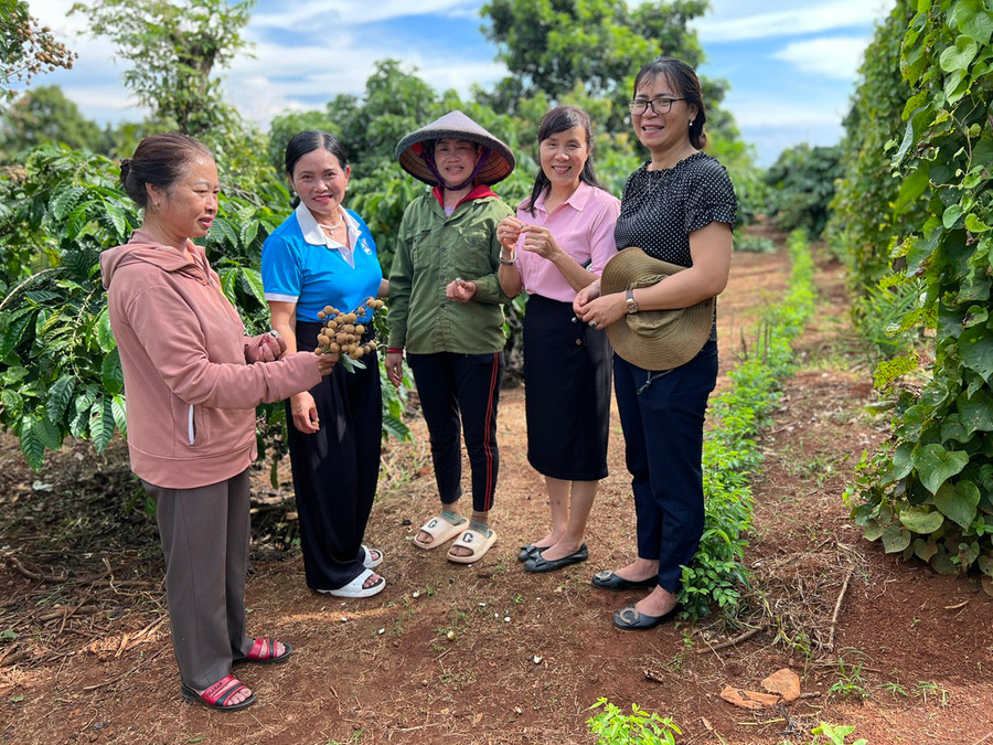 Chị Huỳnh Thị Mỹ Dung (thứ 3 từ phải qua; thôn Bầu Zút, thị trấn Chư Sê) chia sẻ với cán bộ Hội LHPN thị trấn, huyện về quá trình vươn lên thoát nghèo của mình. Ảnh: Đinh Yến Chị Huỳnh Thị Mỹ Dung (thứ 3 từ phải qua; thôn Bầu Zút, thị trấn Chư Sê) chia sẻ với cán bộ Hội LHPN thị trấn, huyện về quá trình vươn lên thoát nghèo của mình. Ảnh: Đinh Yến