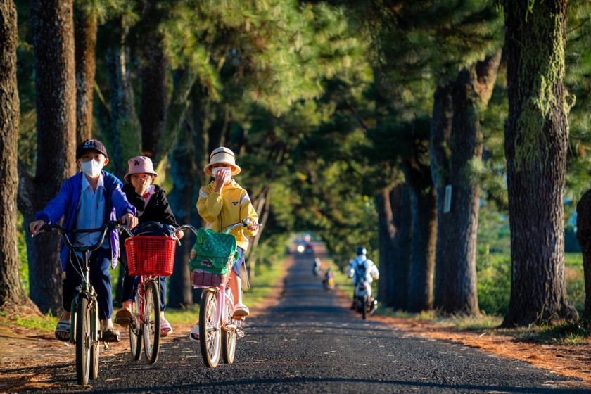 Ảnh: Bùi Văn Hải/TNO Ảnh: Bùi Văn Hải/TNO