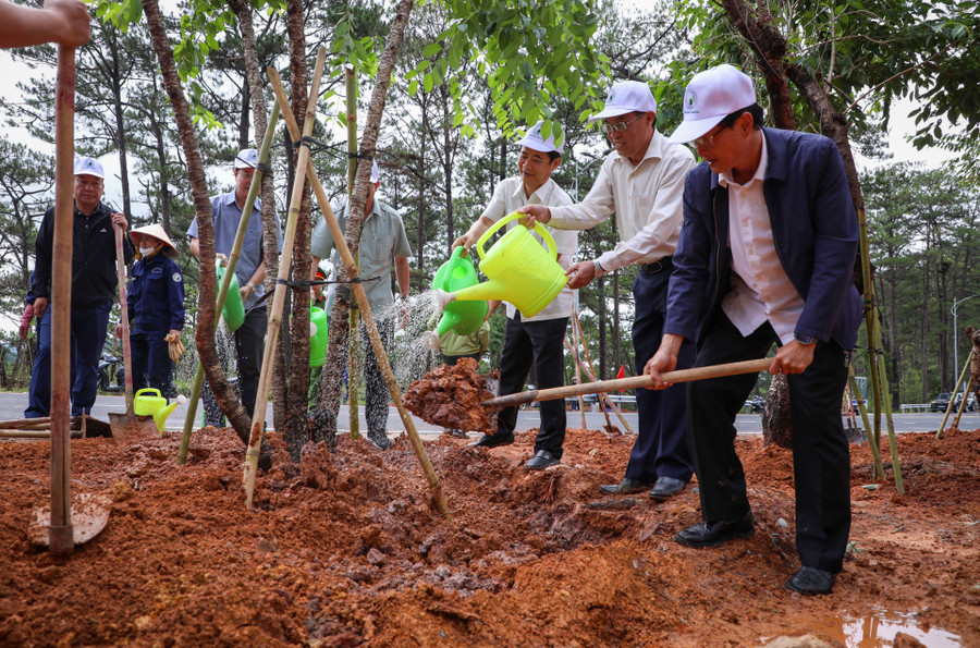 Lãnh đạo tỉnh Lâm Đồng kêu gọi thực hiện phương châm “Trồng cây nào sống tốt cây đó" Lãnh đạo tỉnh Lâm Đồng kêu gọi thực hiện phương châm “Trồng cây nào sống tốt cây đó"