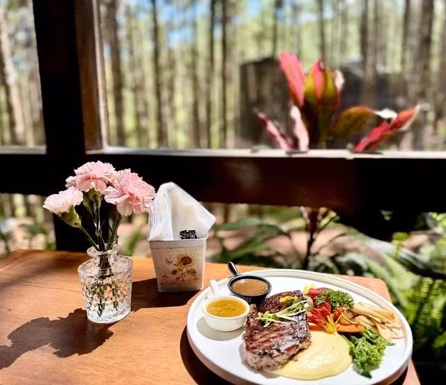 ẢNH: FB RỪNG THÔNG MƠ FARM &amp; BISTRO