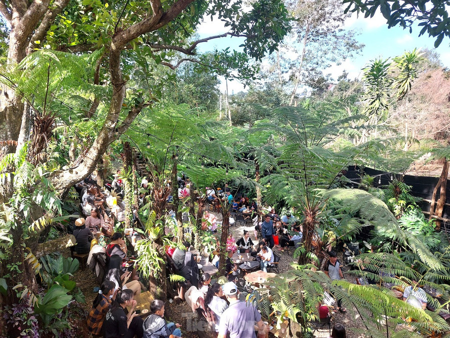 Bên cạnh đó, nhiều quán cà phê được chủ quán khéo léo bố trí không gian xanh mát đặc trưng, nhiều tiểu cảnh, cây xanh… tạo nên những góc check in đẹp.