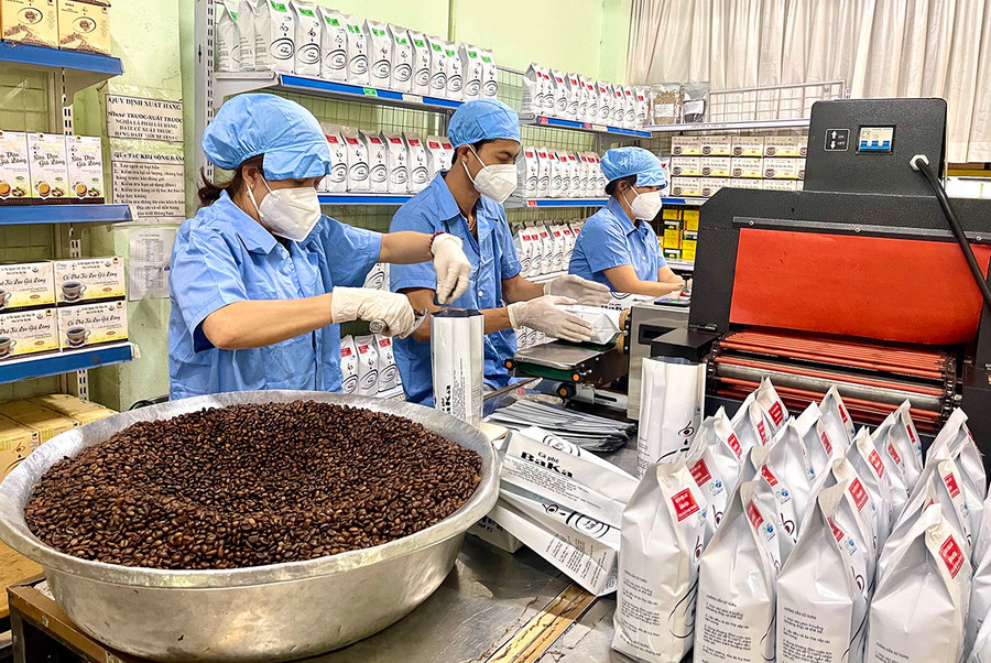 Giá nguyên liệu đầu vào tăng gấp đôi so với năm ngoái đang tạo ra không ít thách thức cho các doanh nghiệp tham gia vào lĩnh vực chế biến cà phê. Ảnh: Vũ Thảo Giá nguyên liệu đầu vào tăng gấp đôi so với năm ngoái đang tạo ra không ít thách thức cho các doanh nghiệp tham gia vào lĩnh vực chế biến cà phê. Ảnh: Vũ Thảo