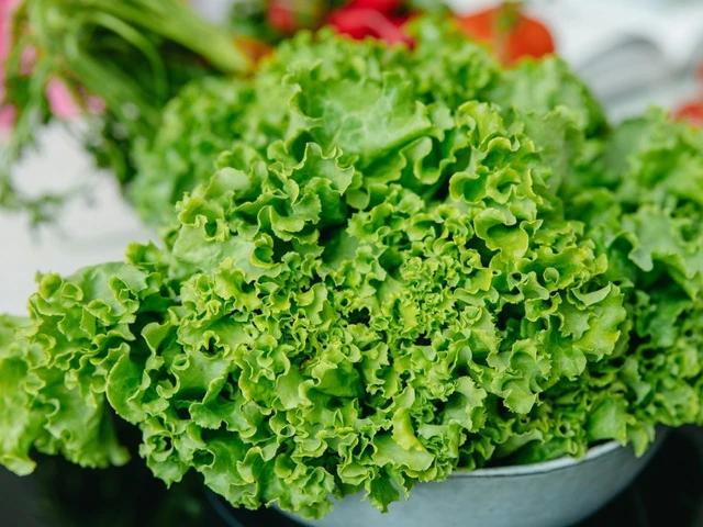 Các loại rau lá xanh rất giàu vitamin E tốt cho não. Ảnh: PEXELS