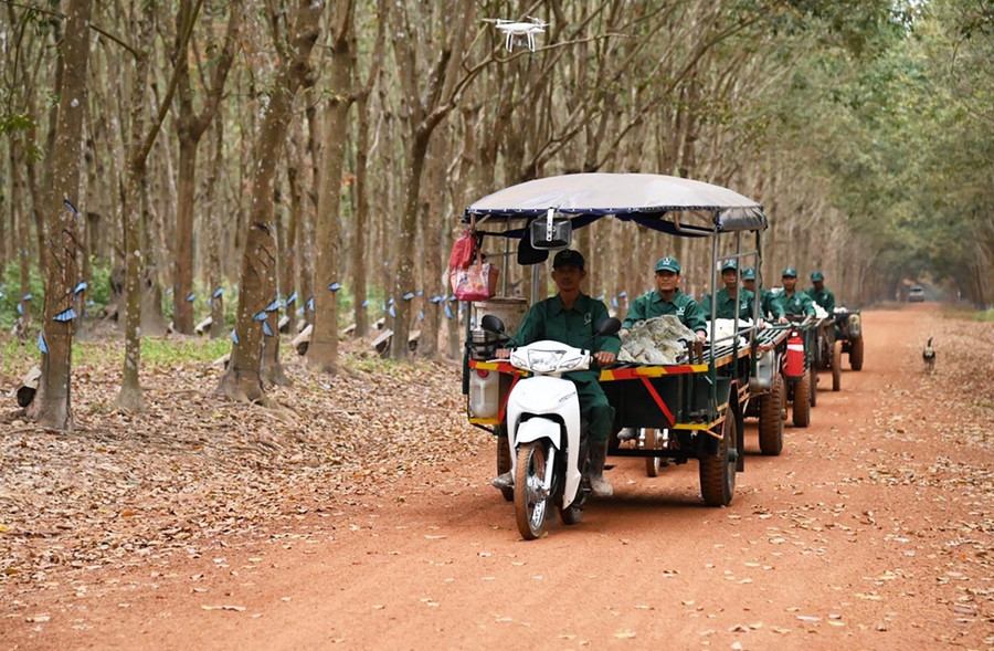 Công ty Cao su Chư Sê Kampong Thom đã vận động bà con nông dân ở địa phương bạn vào làm công nhân cho Công ty. Ảnh: TCCS VN Công ty Cao su Chư Sê Kampong Thom đã vận động bà con nông dân ở địa phương bạn vào làm công nhân cho Công ty. Ảnh: TCCS VN