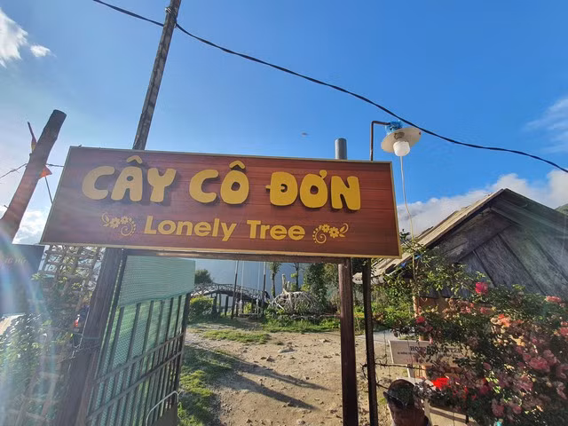 Địa điểm có cây cô đơn. Ảnh: KHANG KA