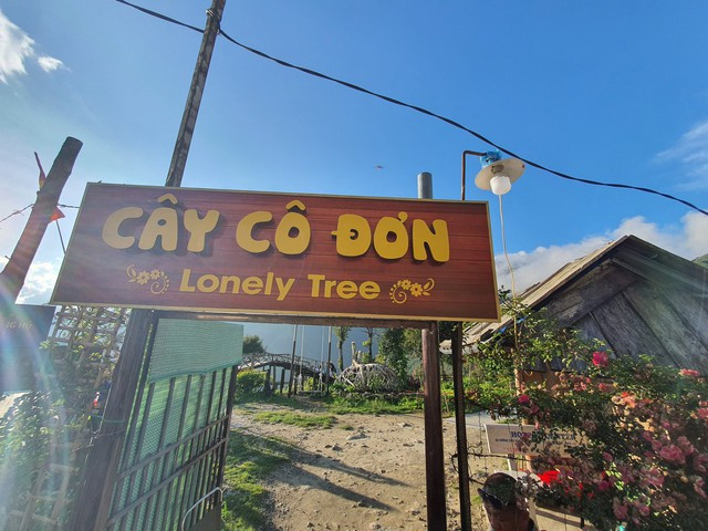 Địa điểm có cây cô đơn. Ảnh: KHANG KA