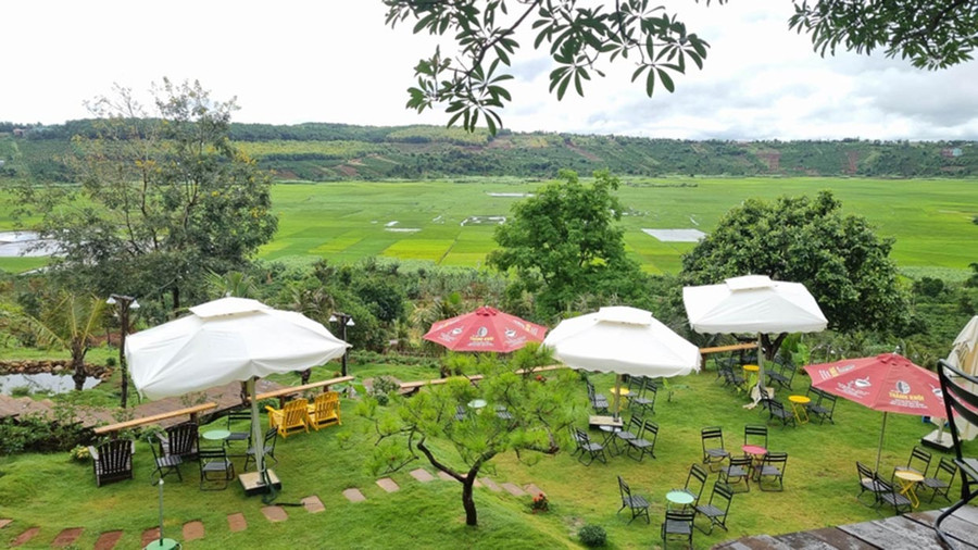 Một góc Zin's Farm của Hợp tác xã Nông nghiệp và dịch vụ Ia Kênh (làng Nhao 1, xã Ia Kênh). Ảnh: L.N Một góc Zin's Farm của Hợp tác xã Nông nghiệp và dịch vụ Ia Kênh (làng Nhao 1, xã Ia Kênh). Ảnh: L.N