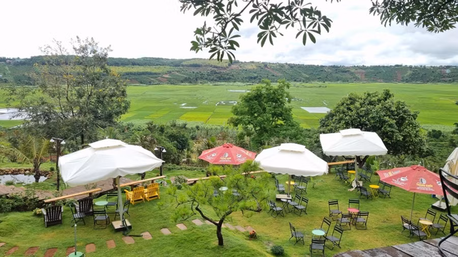 Một góc Zin's Farm của Hợp tác xã Nông nghiệp và dịch vụ Ia Kênh (làng Nhao 1, xã Ia Kênh). Ảnh: L.N