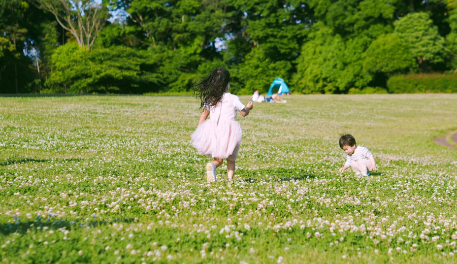 Mùa hè đầy thơ mộng. Ảnh: NVCC