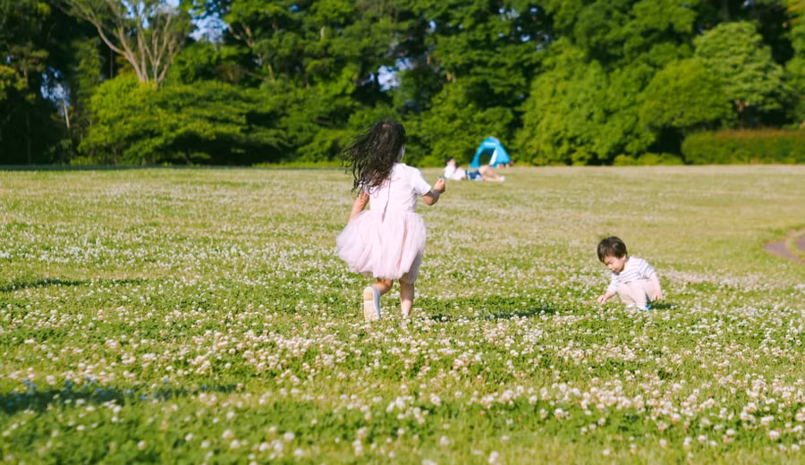 Mùa hè Nhật Bản trong trẻo như phim qua ống kính của nhà văn Việt - Ảnh 2. Mùa hè đầy thơ mộng. Ảnh: NVCC