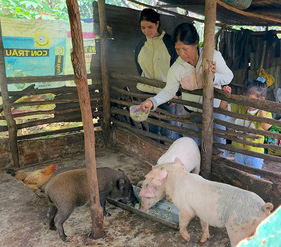 Một bộ phận hộ nghèo người DTTS còn thiếu kiến thức tổ chức sản xuất và chưa biết cách tích lũy vốn để phát triển kinh tế hiệu quả. Ảnh: Mộc Trà