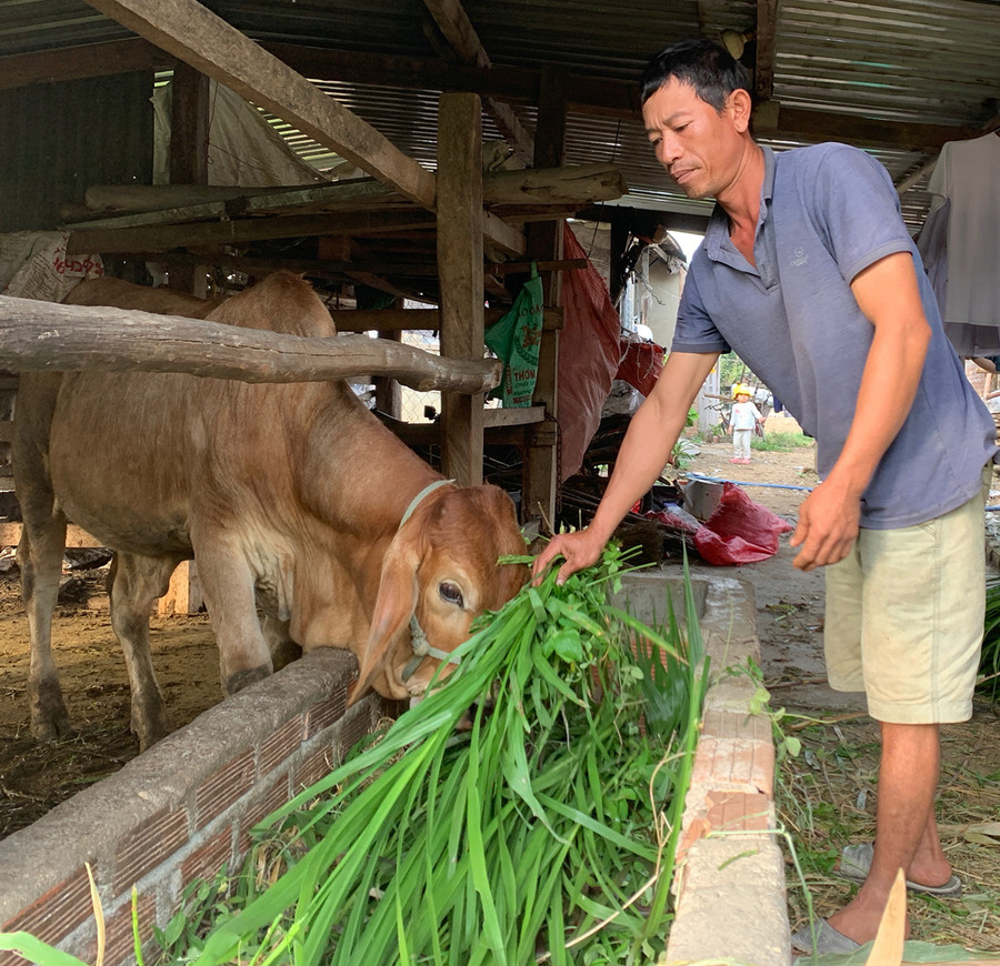 Nhiều người chấp hành xong án phạt tù ở xã Hà Tam được hỗ trợ vay vốn để phát triển kinh tế, ổn định cuộc sống. Ảnh: R.H