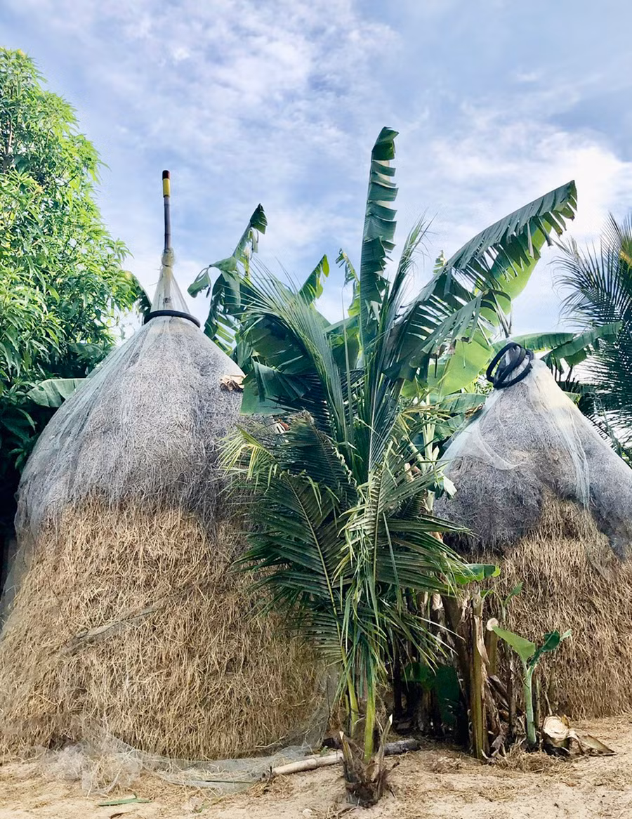 Rơm rạ từ lâu đã là một trong những hình ảnh thân thương của làng quê Việt Nam. Ảnh: B.Q.V Rơm rạ từ lâu đã là một trong những hình ảnh thân thương của làng quê Việt Nam. Ảnh: B.Q.V