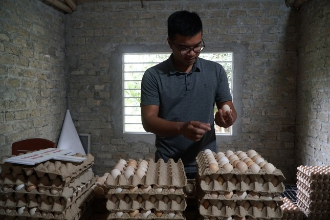 Sản phẩm trứng gà từ trang trại nuôi gà bằng thảo dược.