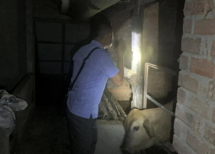 Điều tra véc tơ truyền bệnh tại khu vực ghi nhận ca bệnh. (Ảnh: CDC Đắk Lắk) Điều tra véc tơ truyền bệnh tại khu vực ghi nhận ca bệnh. (Ảnh: CDC Đắk Lắk)