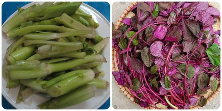 3 loại rau &apos;giúp sống lâu&apos; mọc đầy ở Việt Nam nhưng ít người biết