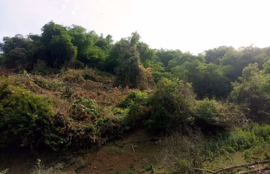 Ông Phạm Văn Thơm vi phạm liên quan đến chuyển nhượng đất sai đối tượng cho cựu Bí thư Huyện ủy Vĩnh Thạnh Nguyễn Đình Kim.