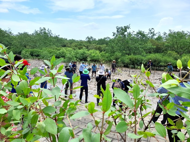 Hướng tới một nền kinh tế xanh, cácbon thấp. (Ảnh minh họa. Nguồn: Hùng Võ/Vietnam+) Hướng tới một nền kinh tế xanh, cácbon thấp. (Ảnh minh họa. Nguồn: Hùng Võ/Vietnam+)