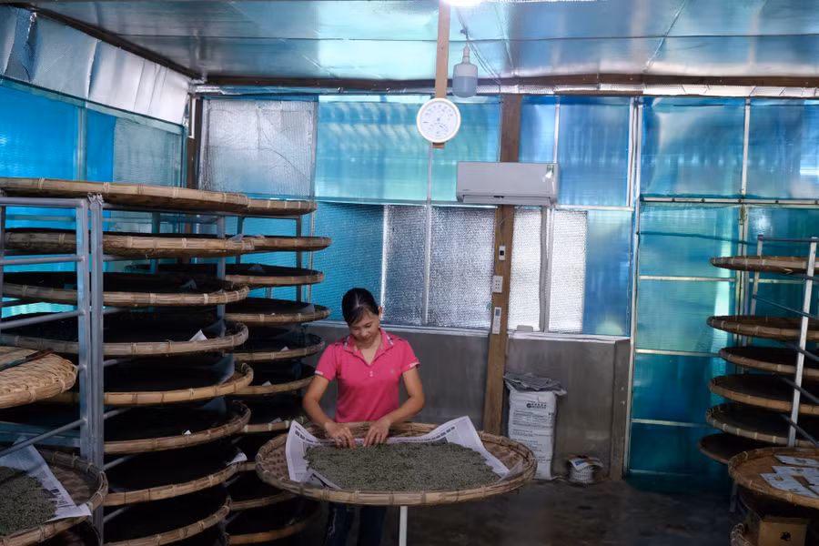 Trong quá quá trình nuôi tằm, lượng phân tằm thải ra sẽ tương đối lớn, thải ra khí CO2, nên cần lắp thêm quạt hút để tạo môi trường thông thoáng.