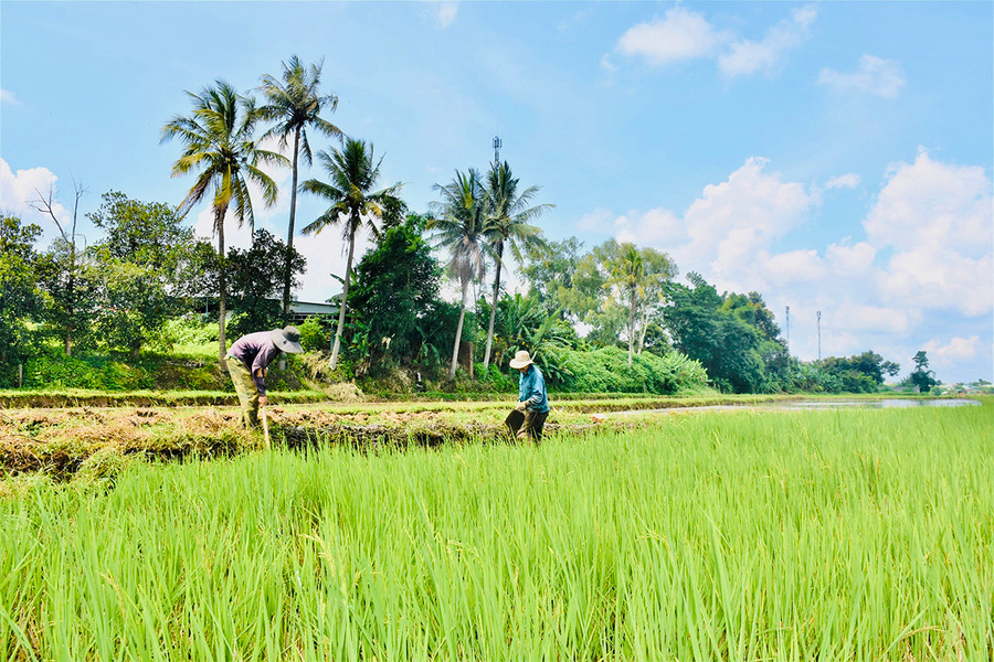 Trong 10 năm qua, các đơn vị kết nghĩa thường xuyên hỗ trợ, giúp đỡ bà con áp dụng khoa học kỹ thuật vào sản xuất. Ảnh Trần Dung Trong 10 năm qua, các đơn vị kết nghĩa thường xuyên hỗ trợ, giúp đỡ bà con áp dụng khoa học kỹ thuật vào sản xuất. Ảnh Trần Dung